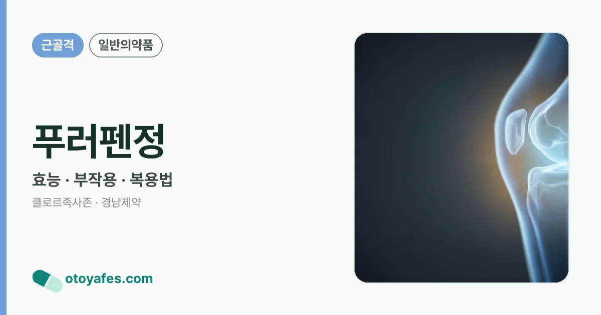 푸러펜정 정리 썸네일