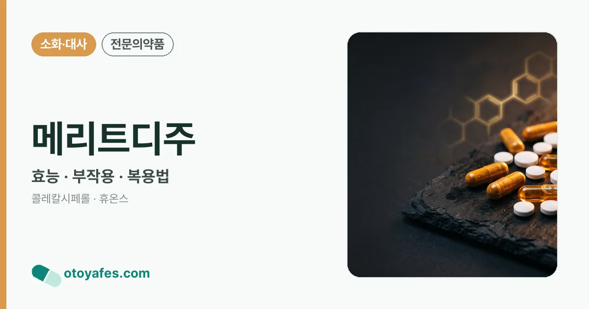메리트디주 정리 썸네일