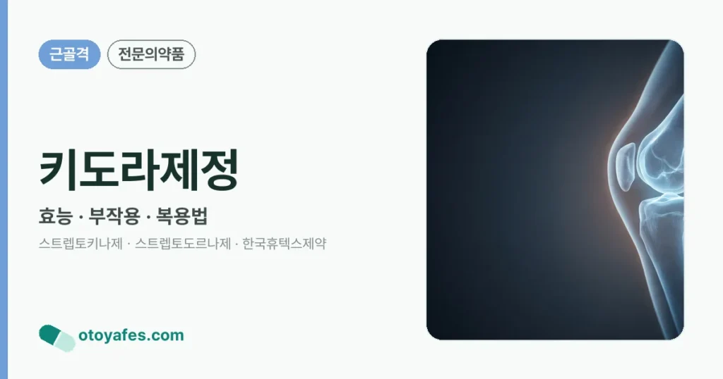 키도라제정 정리 썸네일