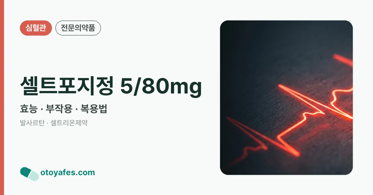 셀트포지정 5/80mg 정리 썸네일