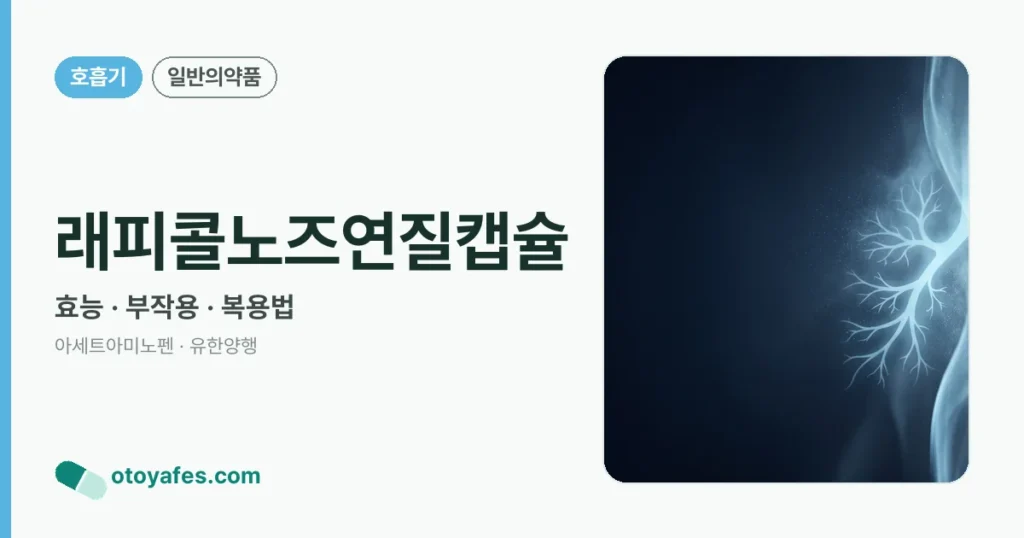 래피콜노즈연질캡슐 정리 썸네일
