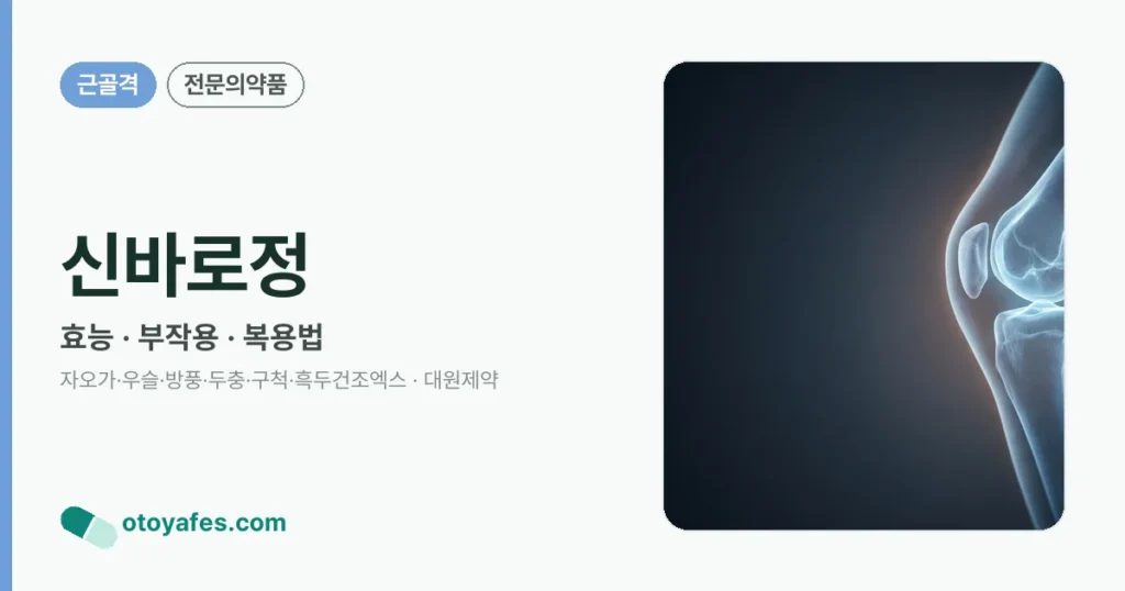 신바로정 정리 썸네일