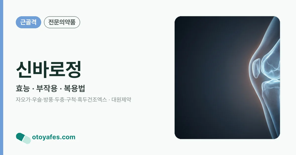 신바로정 정리 썸네일