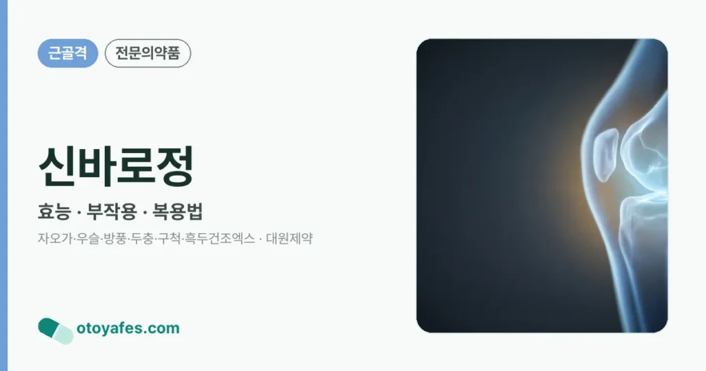 신바로정 정리 썸네일