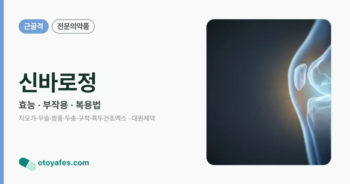 신바로정 정리 썸네일