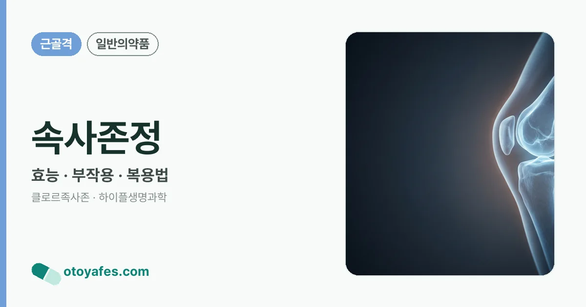 속사존정 정리 썸네일