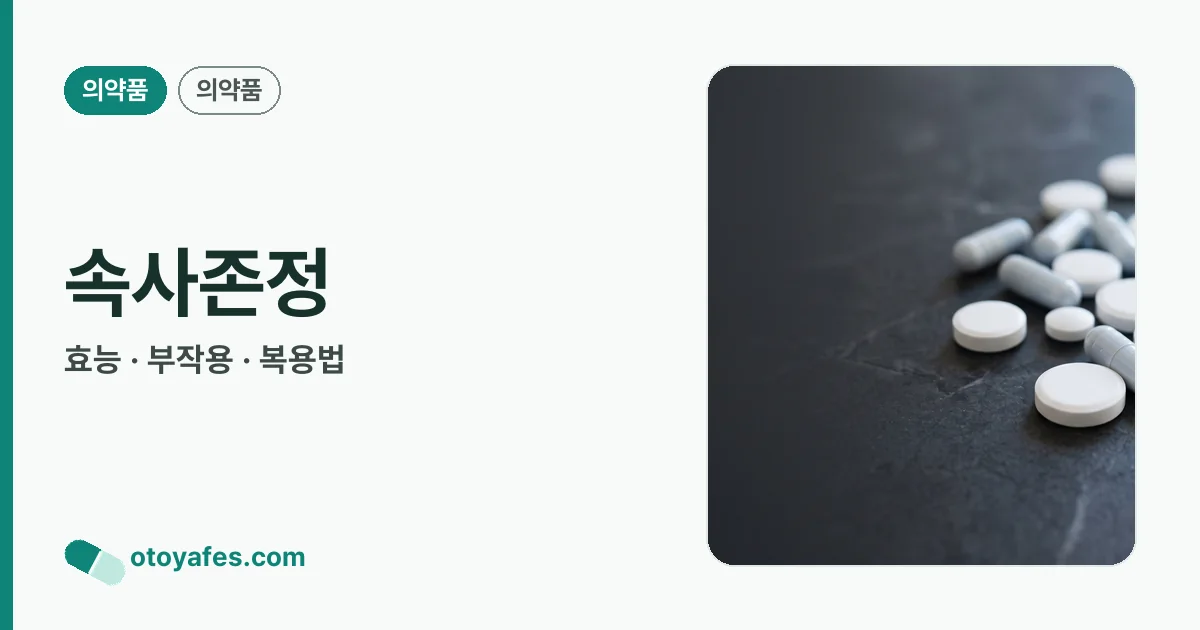속사존정 정리 썸네일