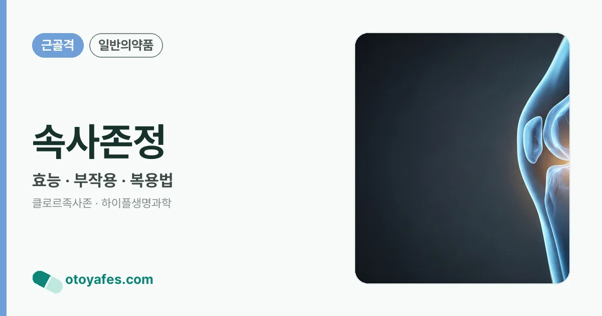 속사존정 정리 썸네일