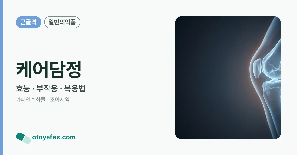 케어담정 정리 썸네일