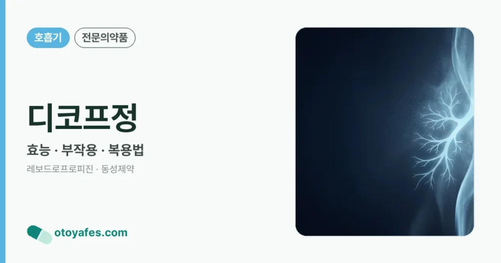 디코프정 정리 썸네일