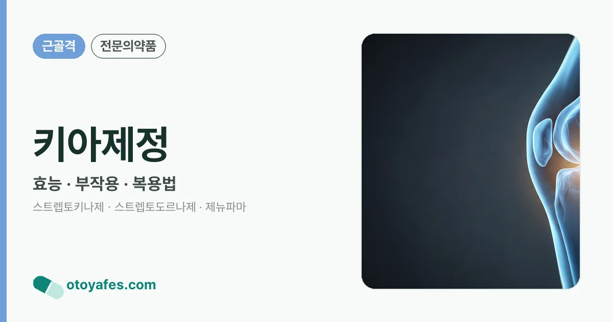 키아제정 정리 썸네일