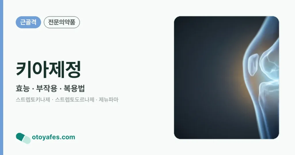 키아제정 정리 썸네일