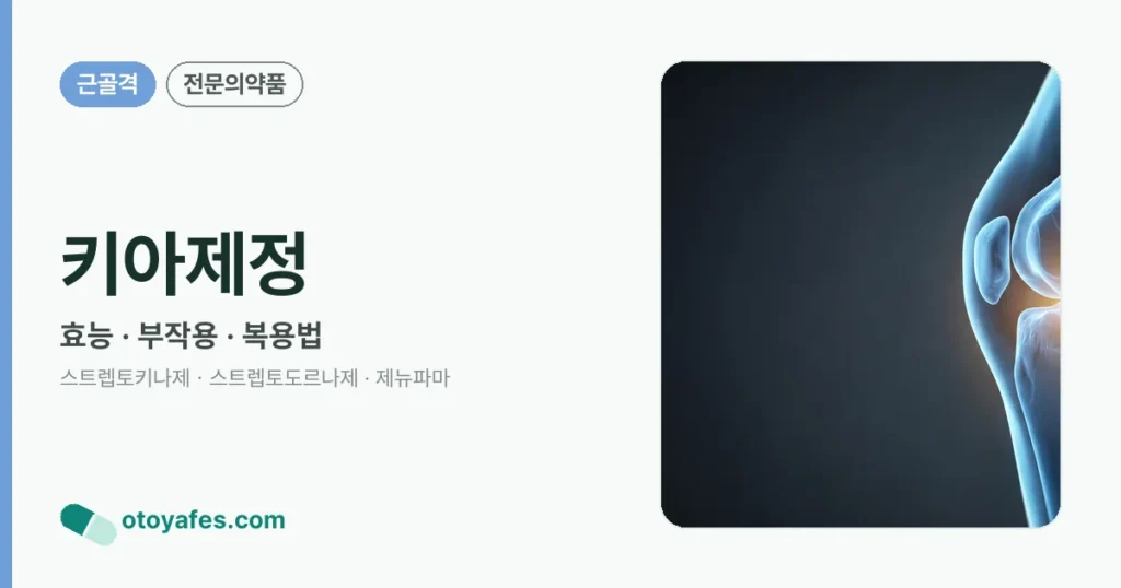 키아제정 정리 썸네일