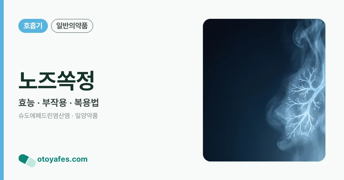 노즈쏙정 정리 썸네일