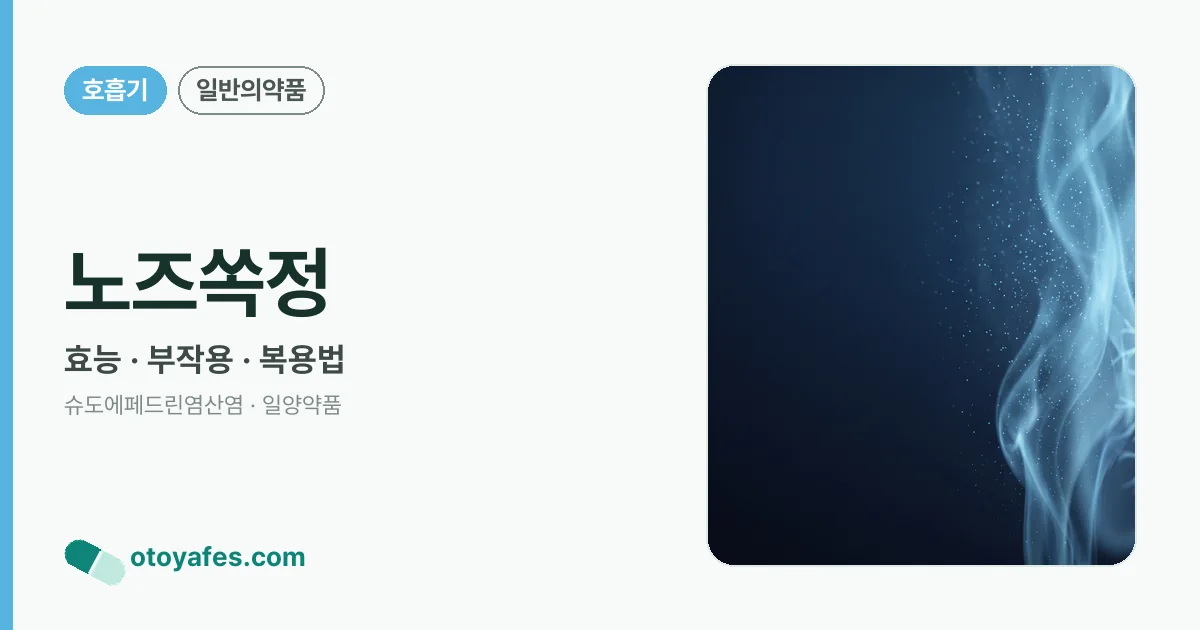 노즈쏙정 정리 썸네일