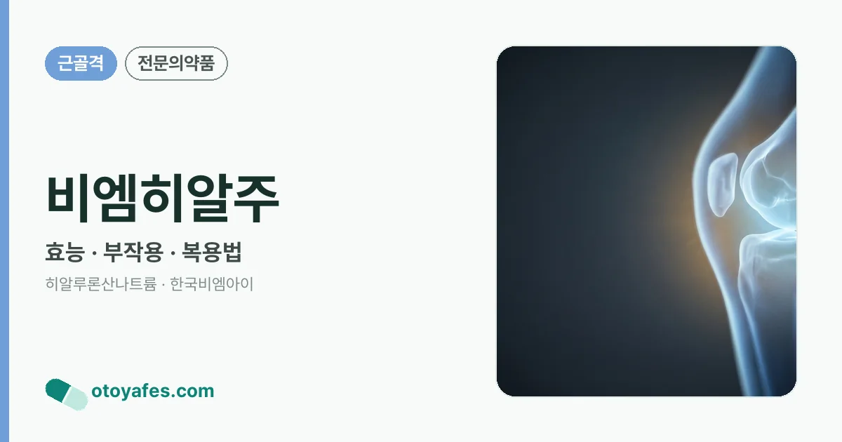 비엠히알주 정리 썸네일