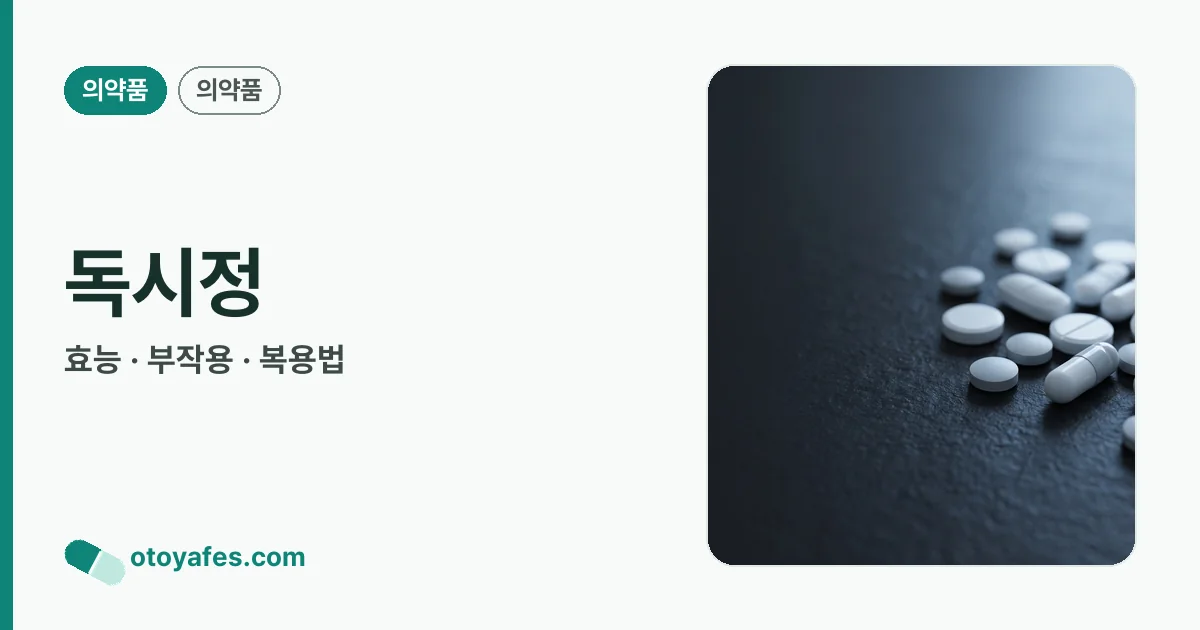 독시정 정리 썸네일