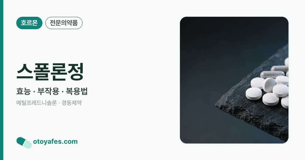 스폴론정 정리 썸네일