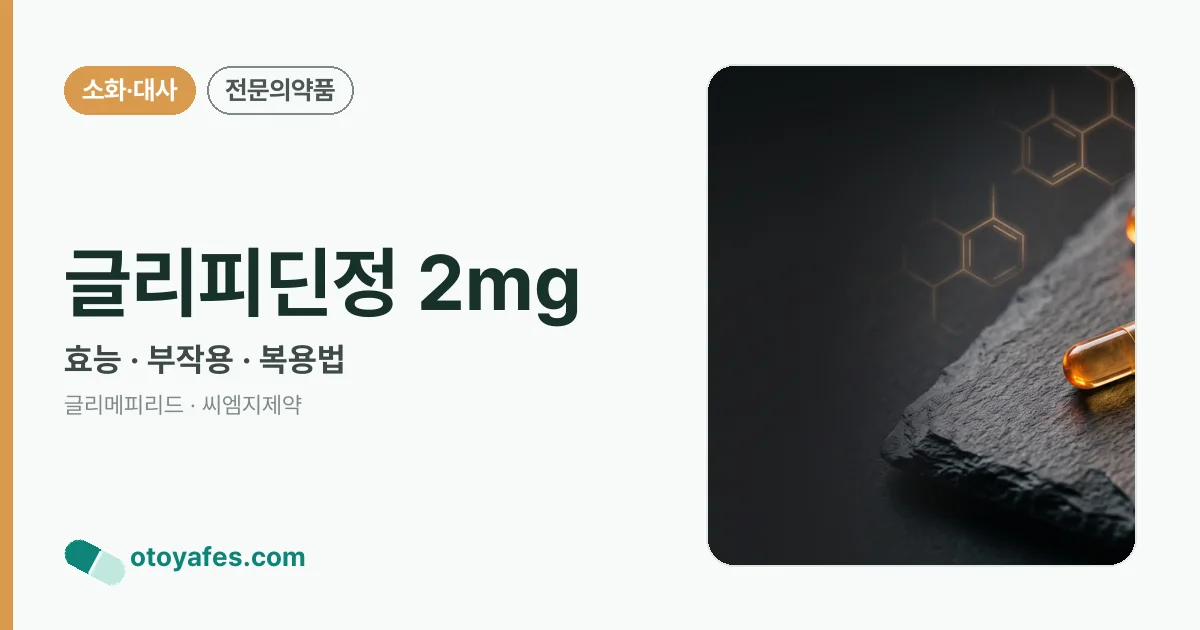 글리피딘정 2mg 정리 썸네일