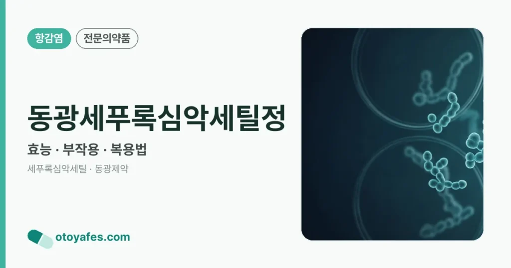 동광세푸록심악세틸정 정리 썸네일