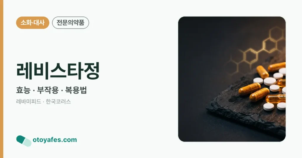레비스타정 정리 썸네일