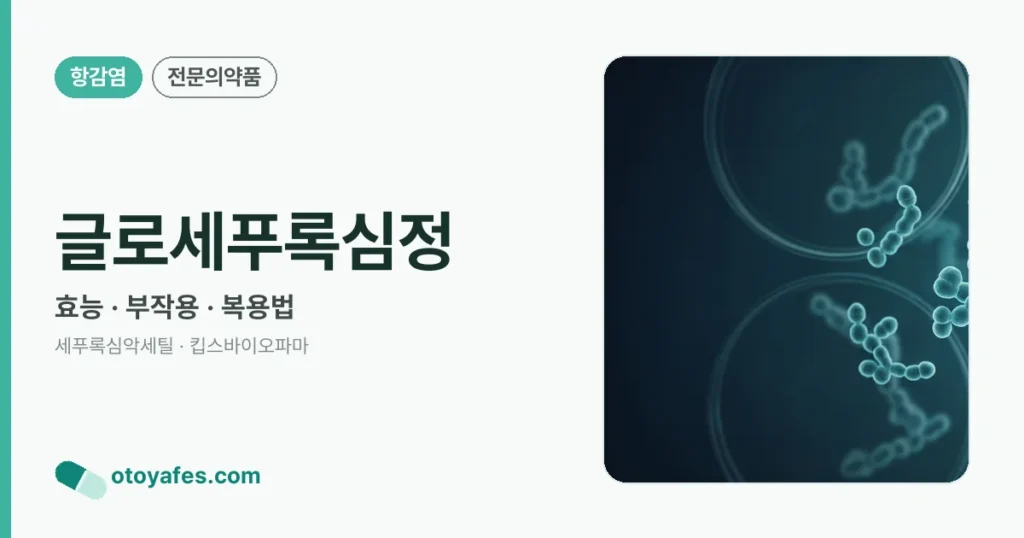글로세푸록심정 정리 썸네일