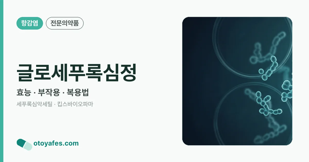 글로세푸록심정 정리 썸네일