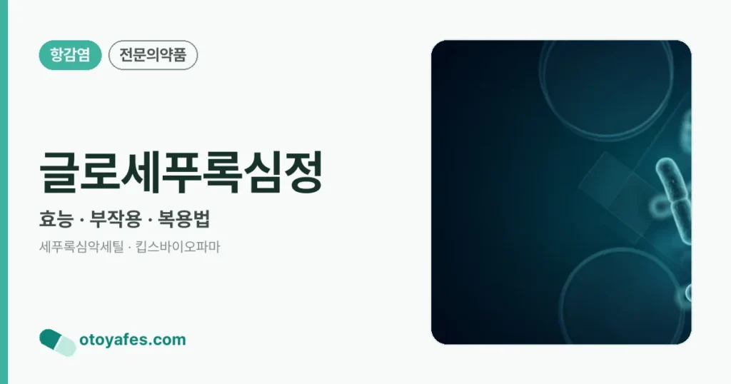 글로세푸록심정 정리 썸네일