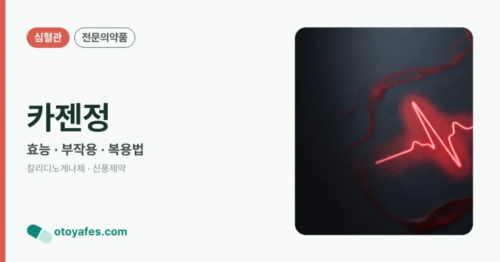카젠정 정리 썸네일