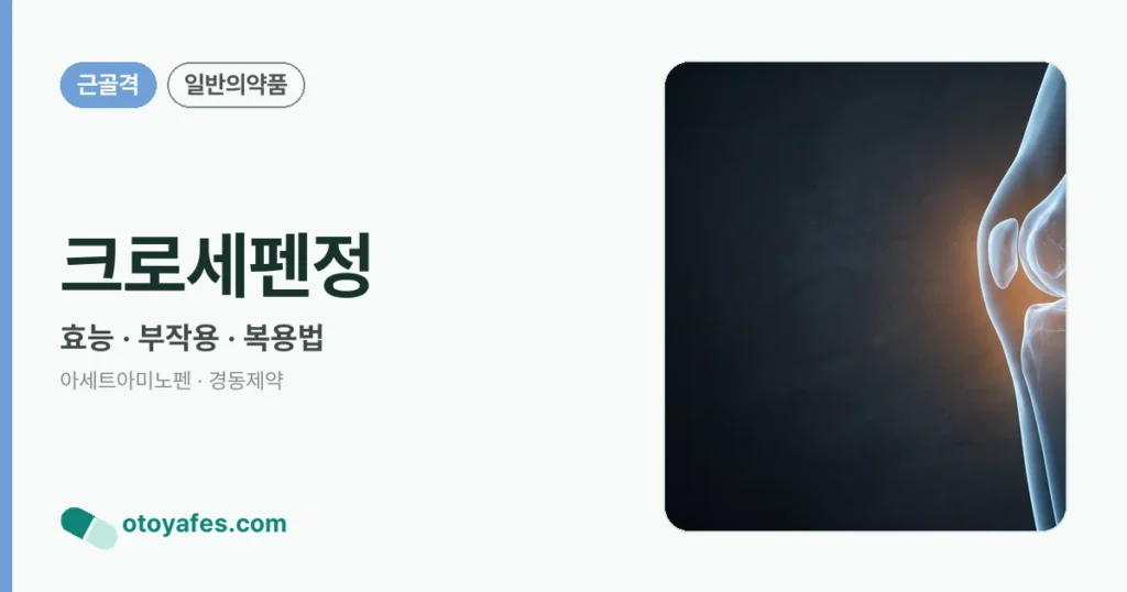 크로세펜정 정리 썸네일