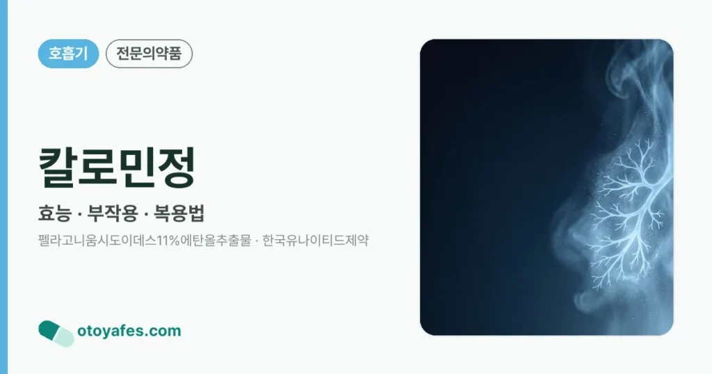 칼로민정 정리 썸네일