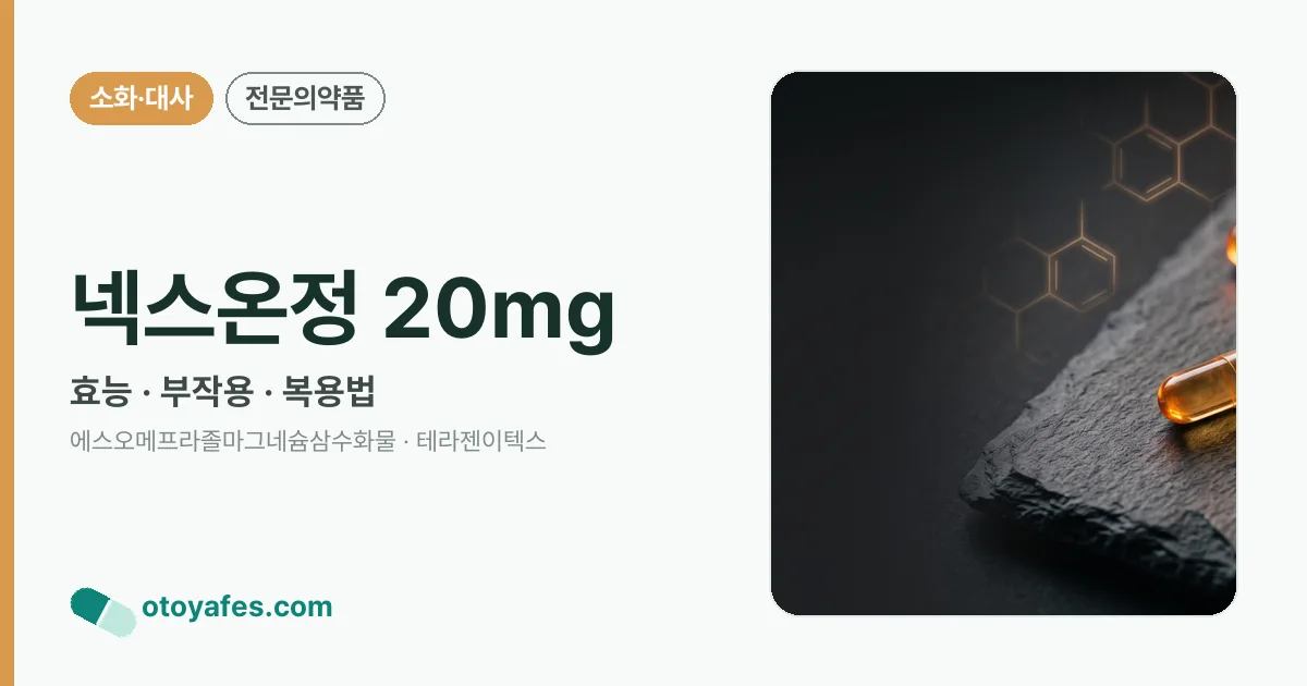 넥스온정 20mg 정리 썸네일
