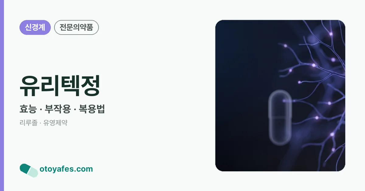 유리텍정 정리 썸네일