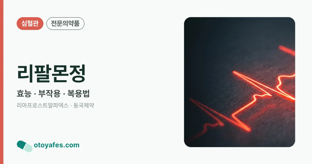 리팔몬정 정리 썸네일