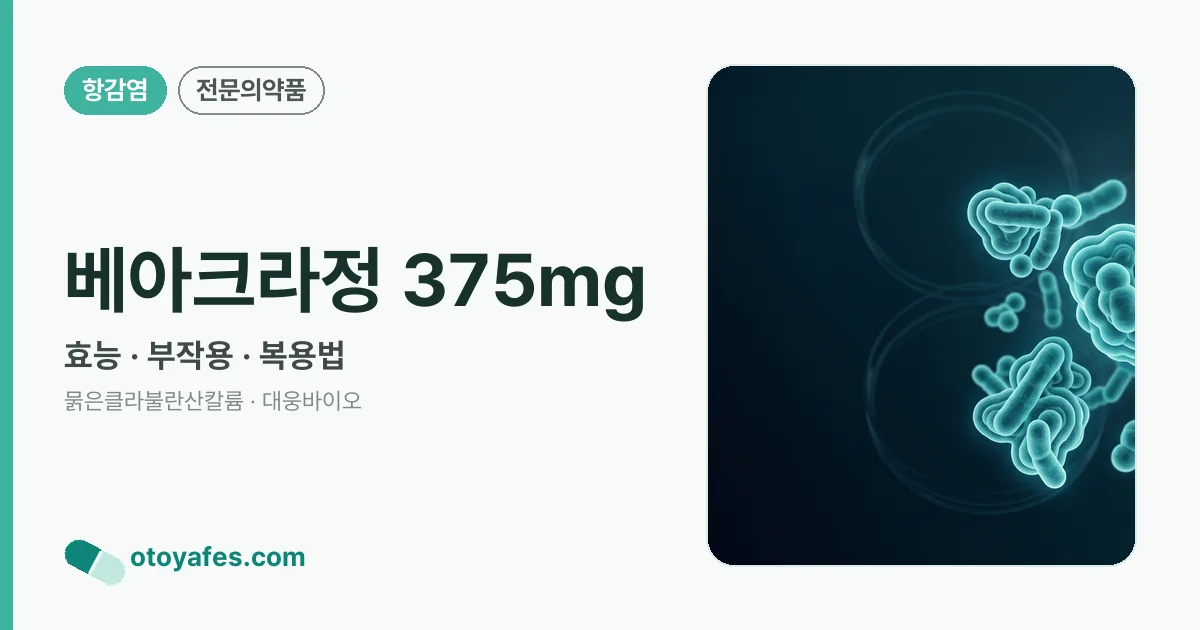 베아크라정 375mg 정리 썸네일