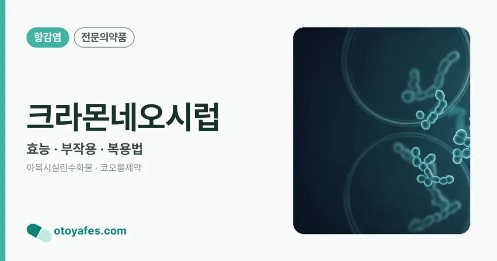 크라몬네오시럽 정리 썸네일