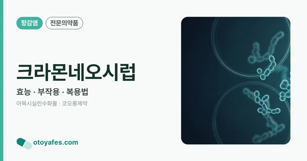 크라몬네오시럽 정리 썸네일