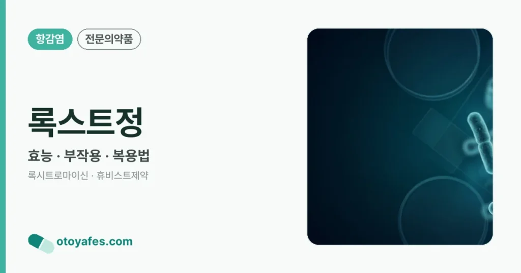 록스트정 정리 썸네일