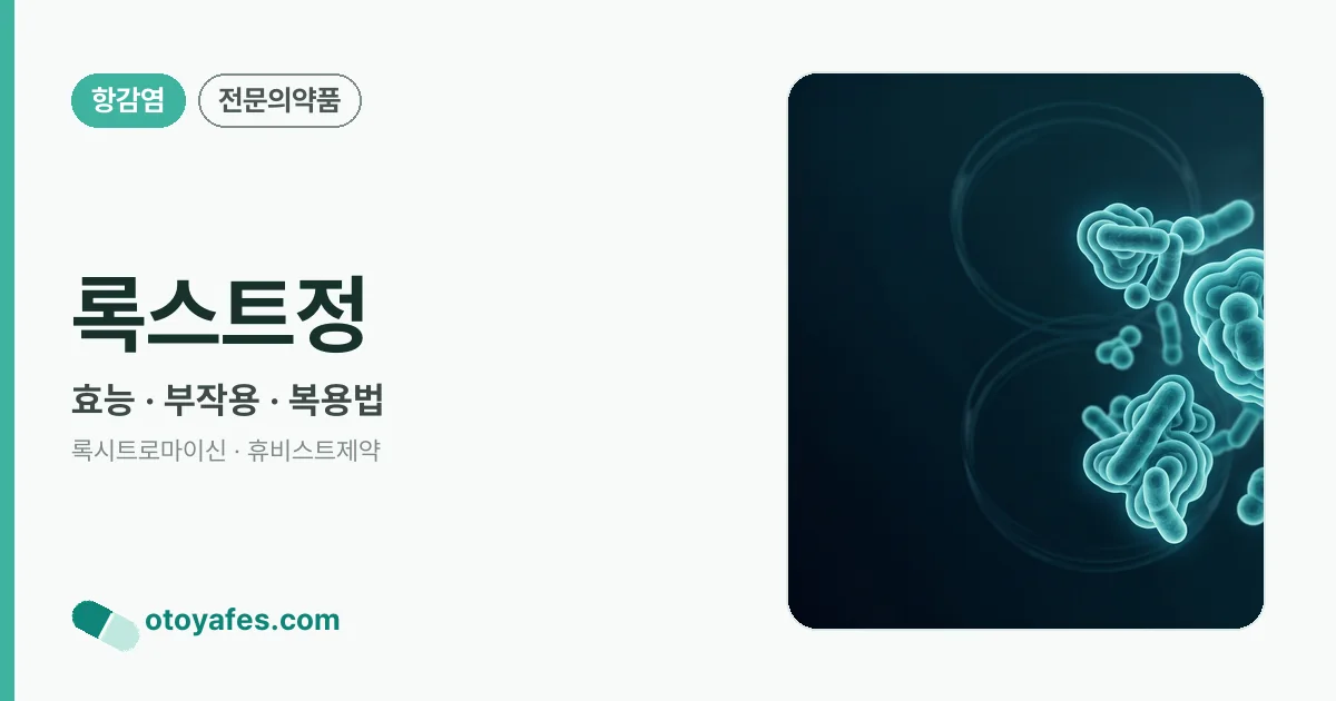 록스트정 정리 썸네일