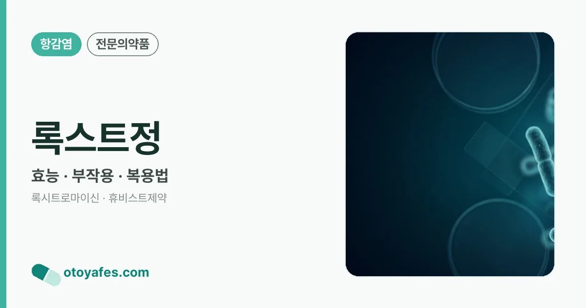 록스트정 정리 썸네일