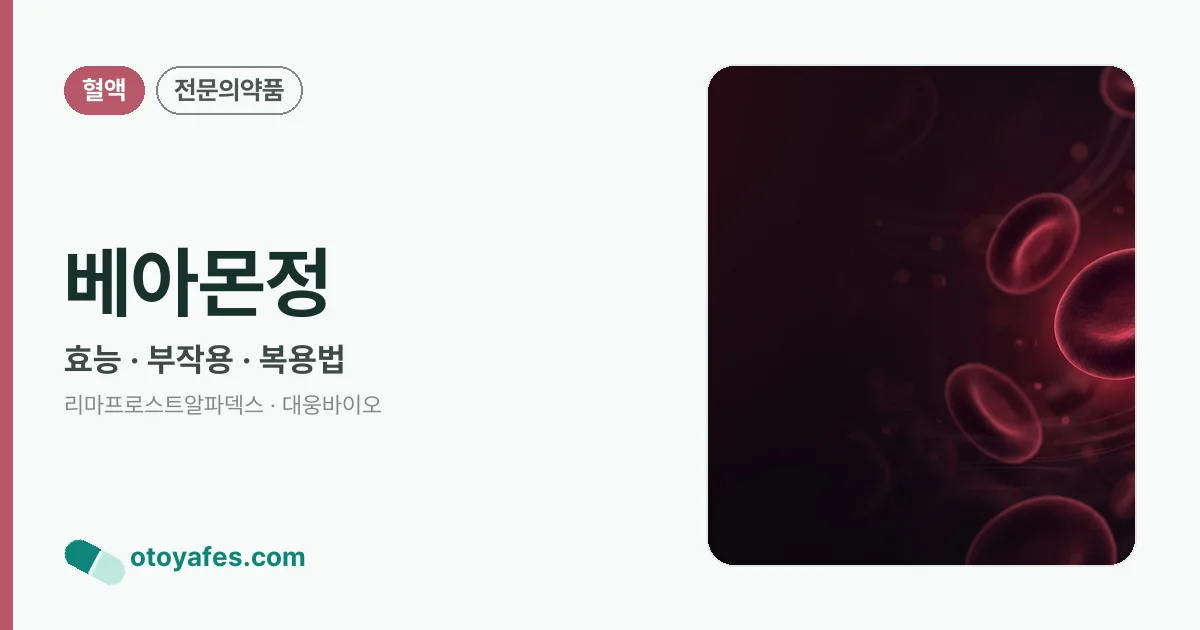 베아몬정 정리 썸네일