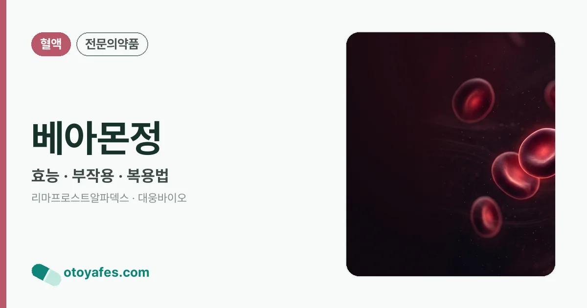 베아몬정 정리 썸네일