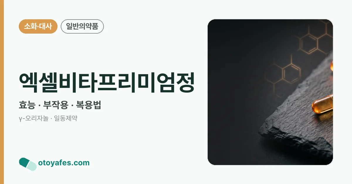엑셀비타프리미엄정 정리 썸네일