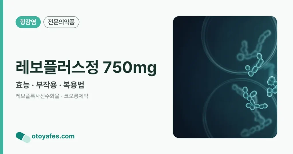 레보플러스정 750mg 정리 썸네일