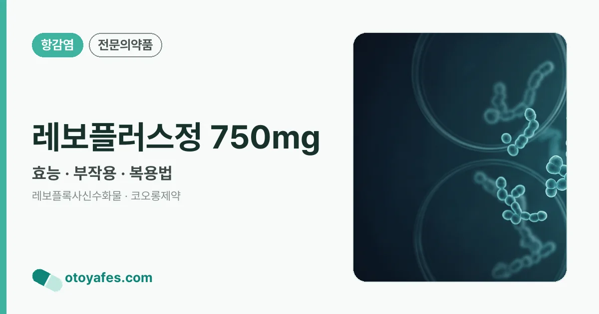 레보플러스정 750mg 정리 썸네일