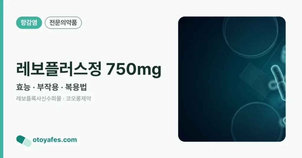 레보플러스정 750mg 정리 썸네일