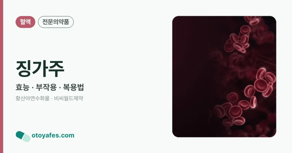 징가주 정리 썸네일