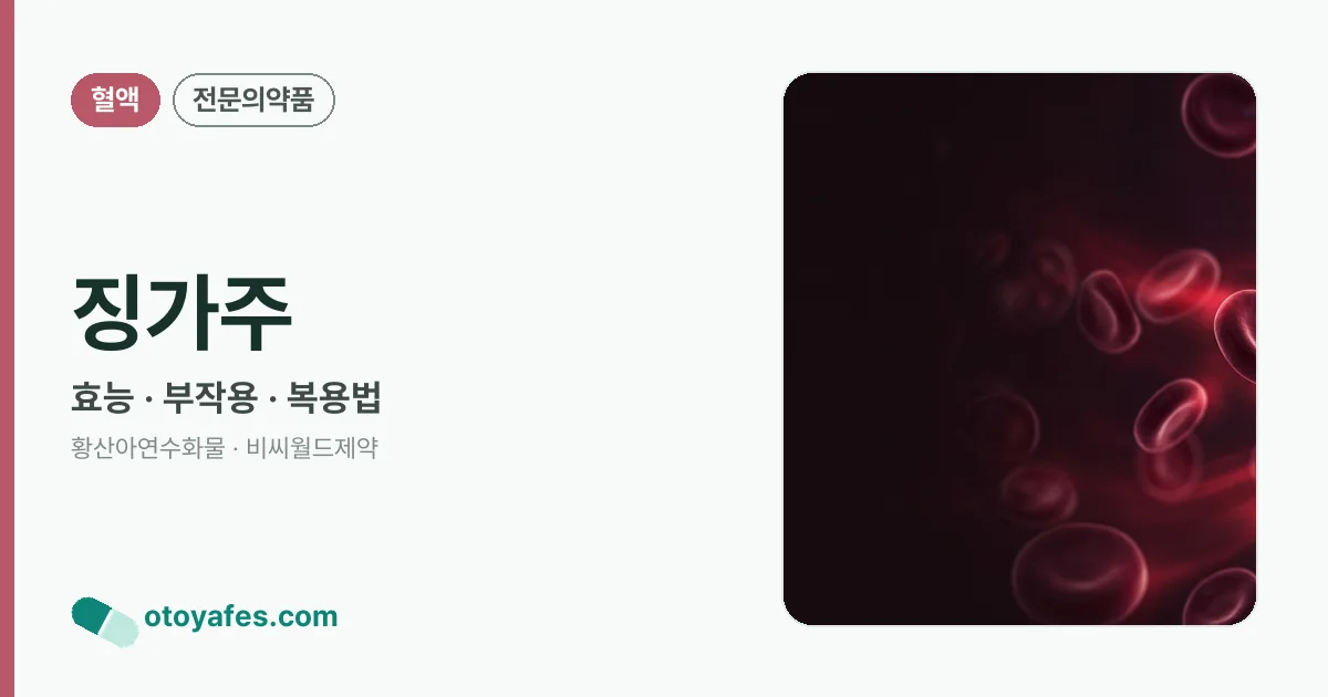 징가주 정리 썸네일