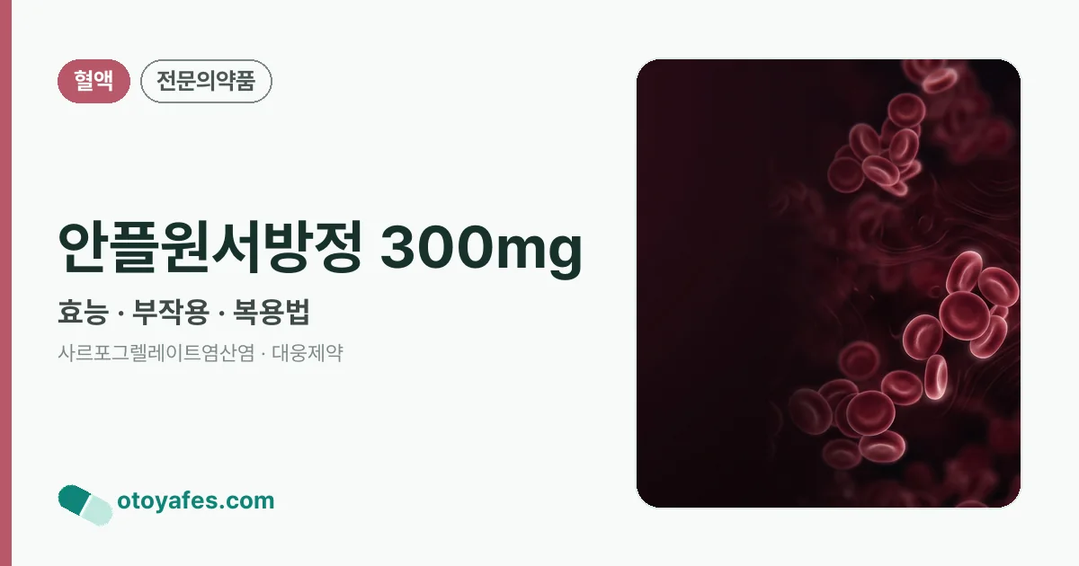 안플원서방정 300mg 정리 썸네일
