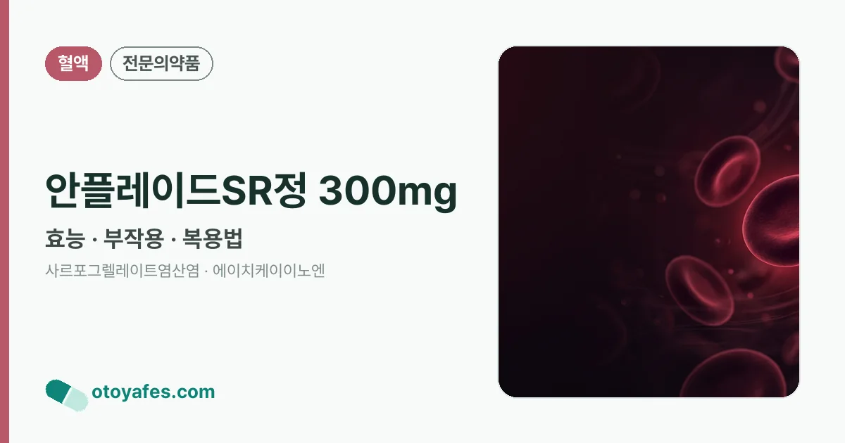 안플레이드SR정 300mg 정리 썸네일